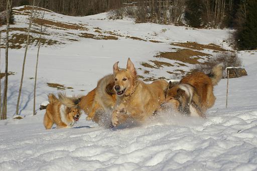 Fotos f. Homepage Galerie 015